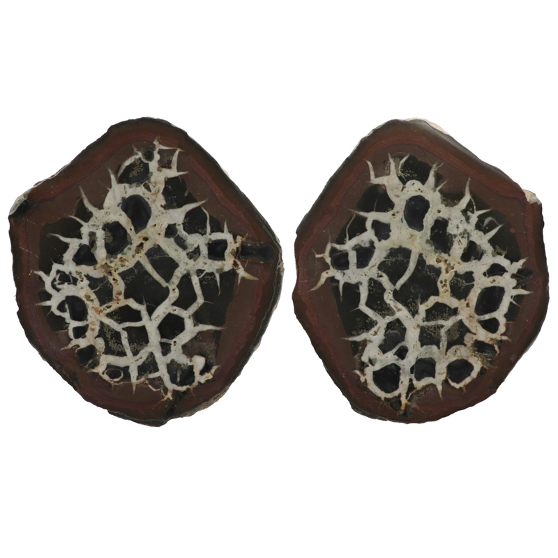 Septarian Nodule - 298g