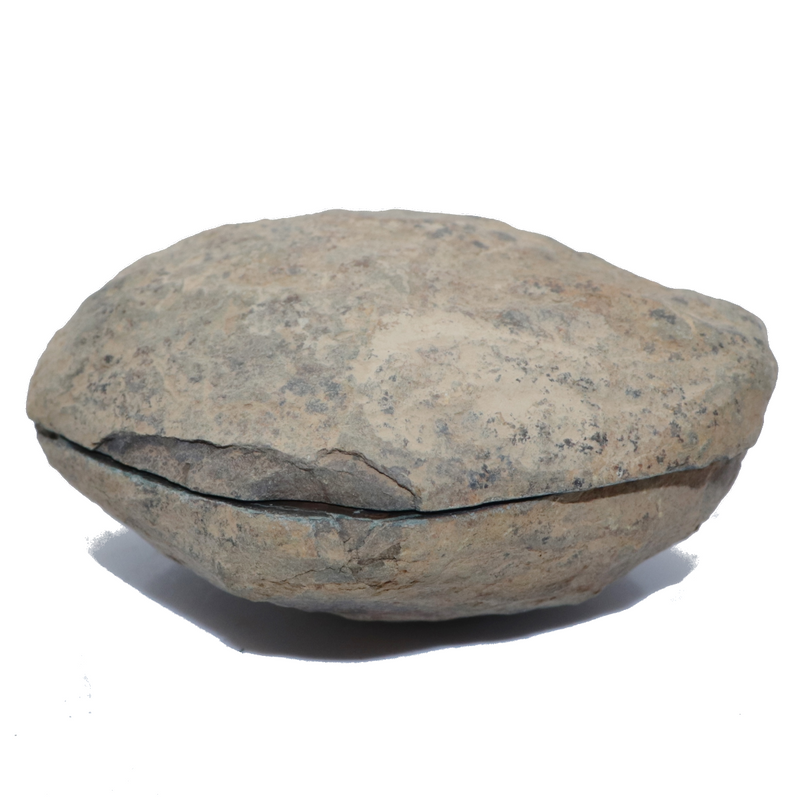 Septarian Nodule - 298g