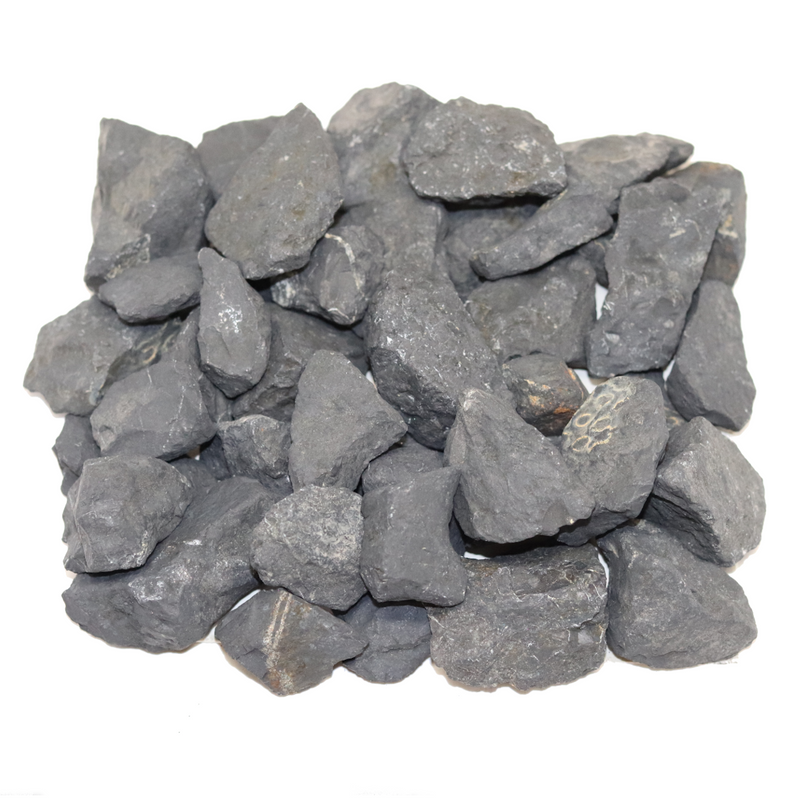 Shungite for Sale | Dinomite Rocks and Gems